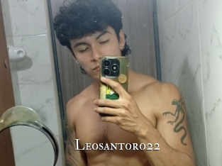 leosantoro22 cams