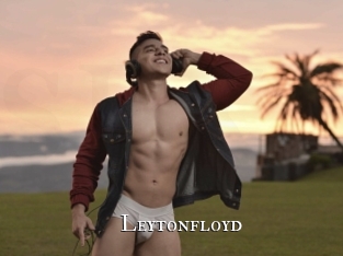 leytonfloyd cams