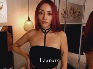 liadaik cams