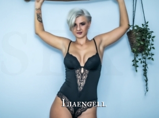 liaengell cams