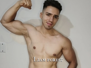 Liam_forest