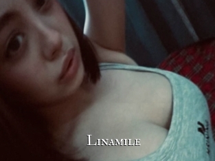 linamile cams