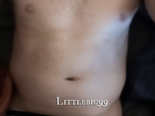 littlebig99 cams