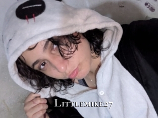 littlemike27 cams