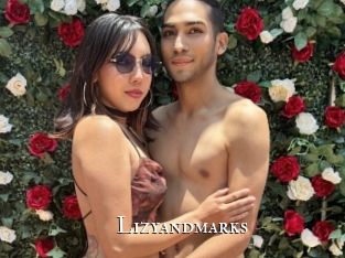 Lizyandmarks