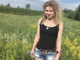 PerfectAngel