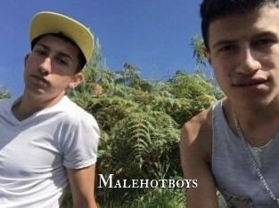 Malehotboys
