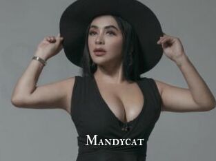 Mandycat