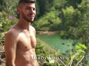 Marco_Tahani