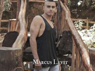 Marcus_Levit