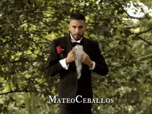 MateoCeballos