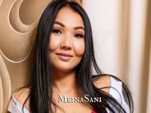 MeinaSani
