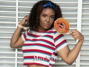 MielMeyer cams