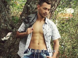 MiguelLarry