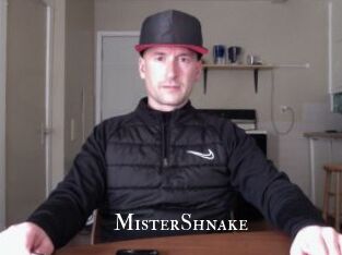 MisterShnake