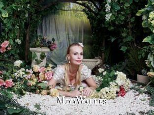 MiyaWalles