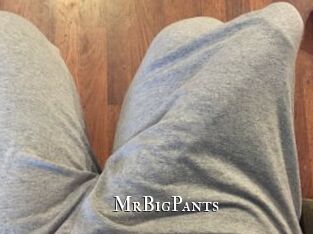 MrBigPants
