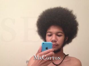 MrCotton