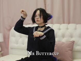 Mr_Buttercup