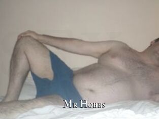 Mr_Hobbs
