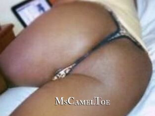 MsCamelToe