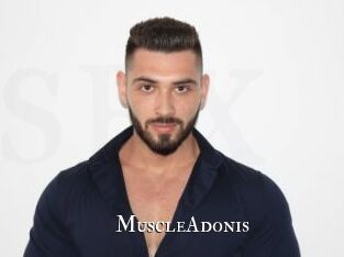 MuscleAdonis