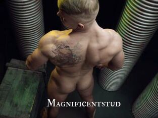 Magnificentstud