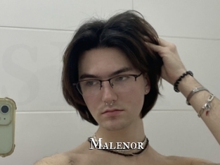 malenor cams