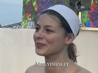 Malvinesley