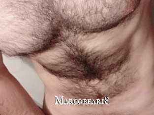 Marcobear18