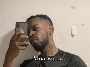 Marcosulek