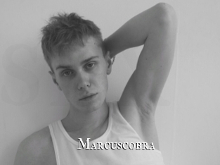 marcuscobra cams