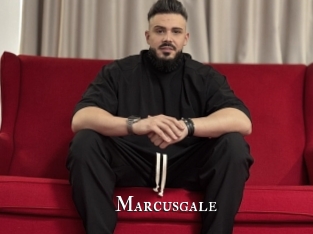 marcusgale cams