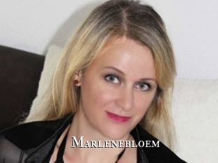 marlenebloem cams