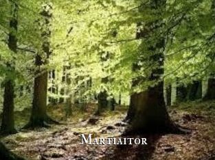 Martiaitor
