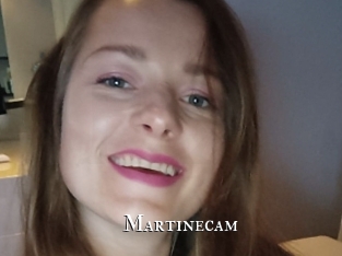 Martinecam