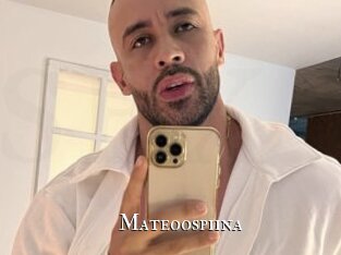 Mateoospiina