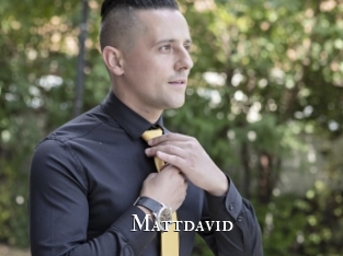 mattdavid cams