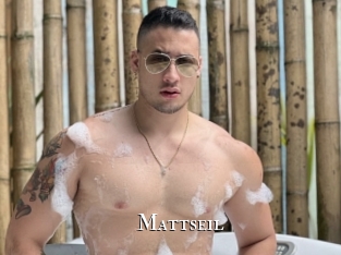 Mattseil