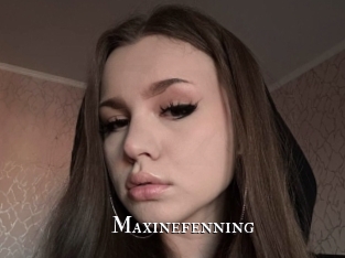 Maxinefenning
