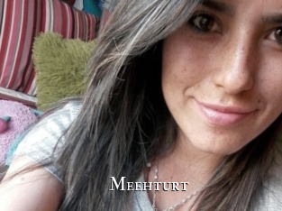 meehturt cams