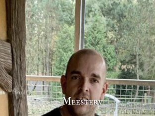 Meesterv