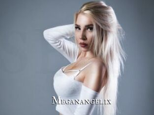 Meganangelix