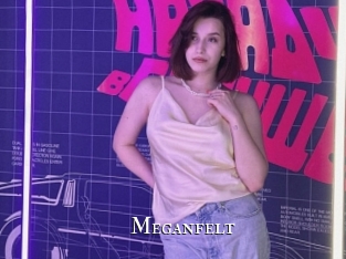 Meganfelt
