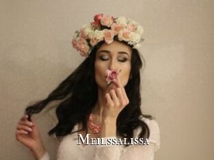 Meilssalissa