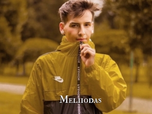 Meliiodas