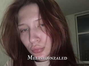 Melisagonzaled