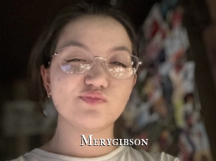 merygibson cams
