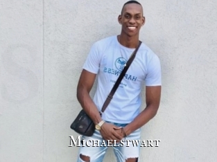 michaelstwart cams