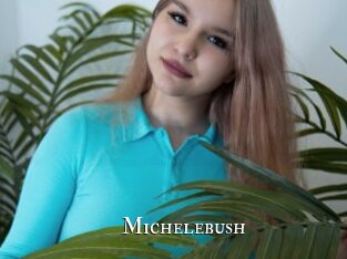 Michelebush